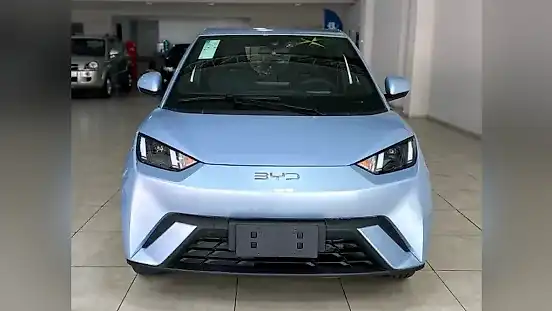 Foto de um byd dolphin mini