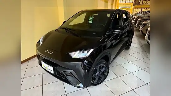 Foto de um byd dolphin mini