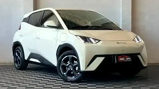 Foto de um byd dolphin mini
