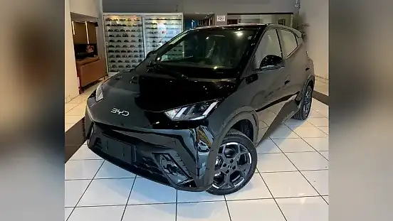 Foto de um byd dolphin mini
