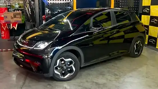 Foto de um byd dolphin