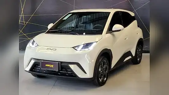 Foto de um byd dolphin
