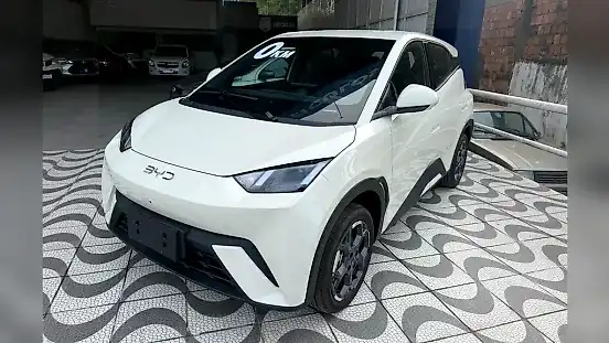 Foto de um byd dolphin mini