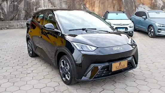 Foto de um byd dolphin mini