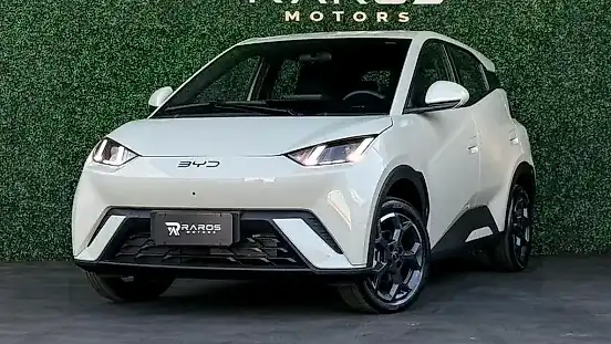 Foto de um byd dolphin mini