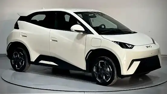 Foto de um byd dolphin mini
