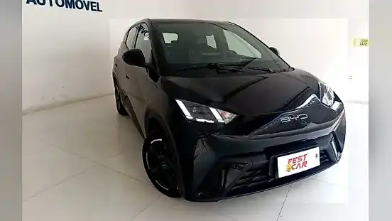 Foto de um byd dolphin mini