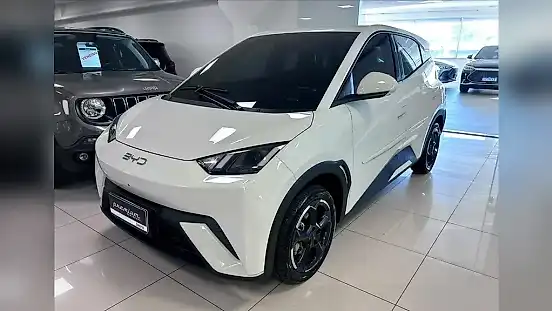 Foto de um byd dolphin mini