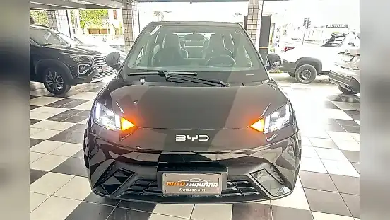 Foto de um byd dolphin mini