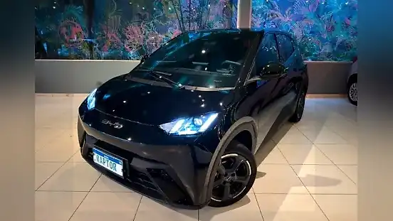 Foto de um byd dolphin mini