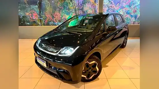 Foto de um byd dolphin