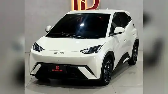 Foto de um byd dolphin mini