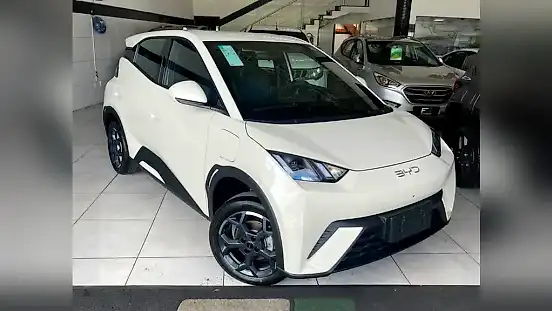 Foto de um byd dolphin
