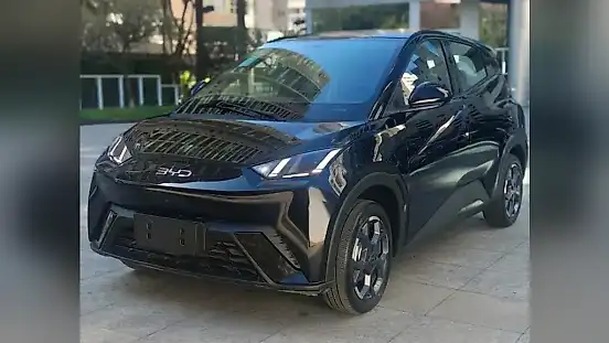 Foto de um byd dolphin