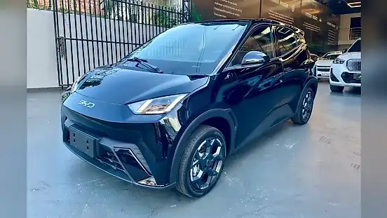 Foto de um byd dolphin mini