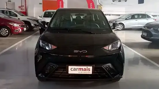Foto de um byd dolphin mini