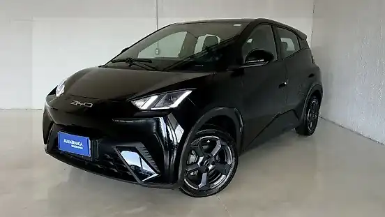 Foto de um byd dolphin mini
