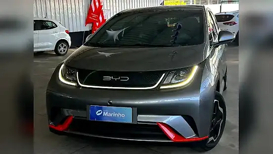 Foto de um byd dolphin