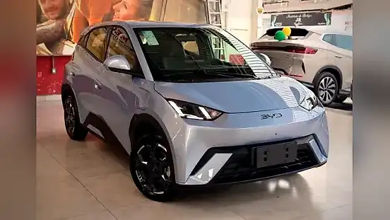 Foto de um byd dolphin mini
