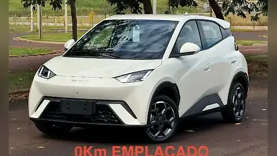 Foto de um byd dolphin mini