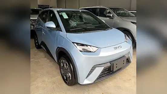 Foto de um byd dolphin mini
