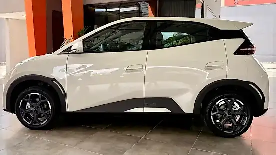 Foto de um byd dolphin