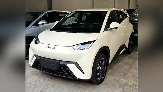 Foto de um byd dolphin mini