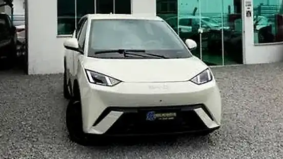Foto de um byd dolphin