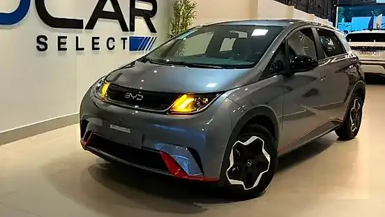 Foto de um byd dolphin