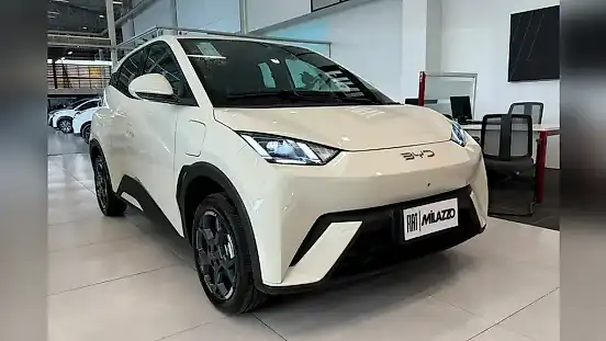 Foto de um byd dolphin mini