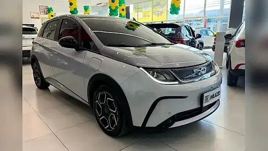 Foto de um byd dolphin plus