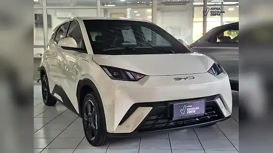 Foto de um byd dolphin mini
