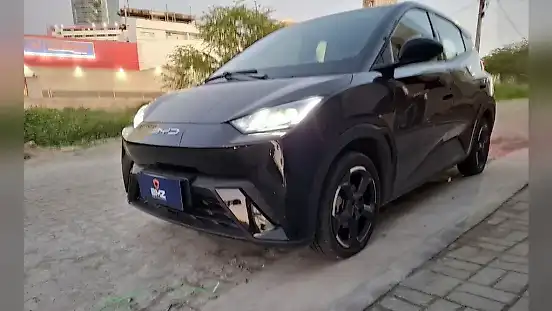 Foto de um byd dolphin