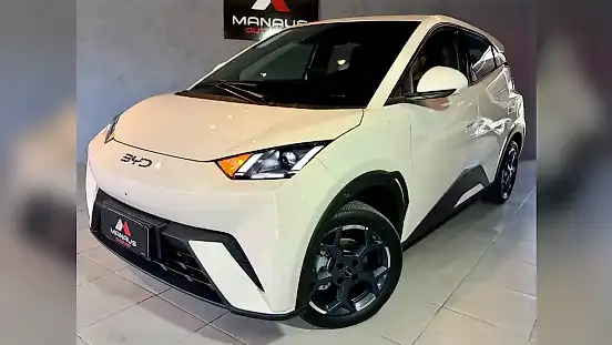 Foto de um byd dolphin mini