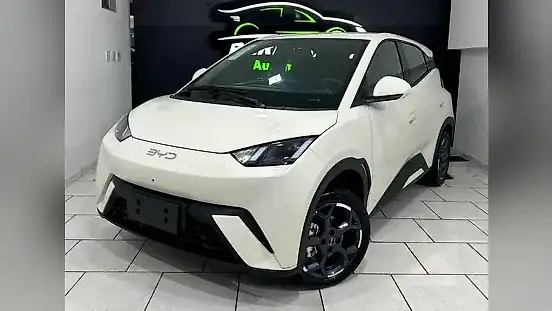 Foto de um byd dolphin