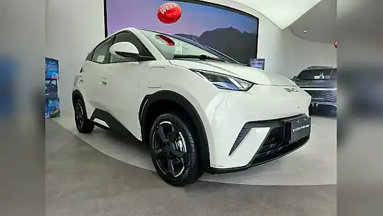 Foto de um byd dolphin mini
