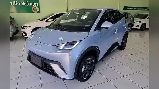 Foto de um byd dolphin mini