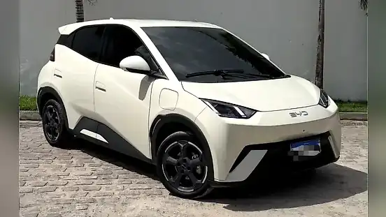 Foto de um byd dolphin mini