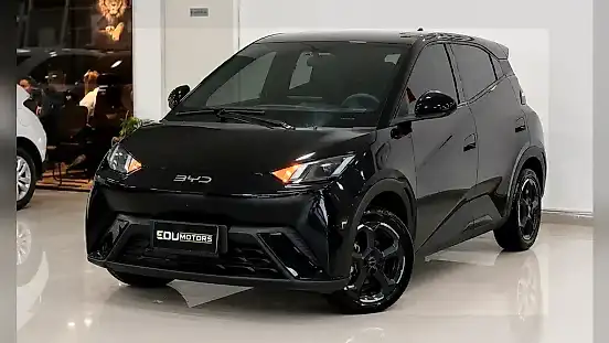 Foto de um byd dolphin mini