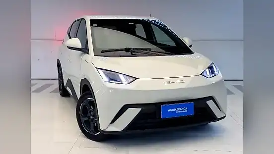 Foto de um byd dolphin mini