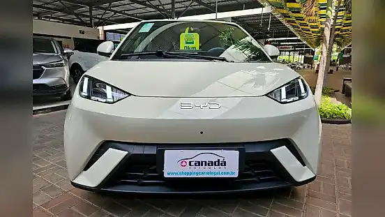 Foto de um byd dolphin