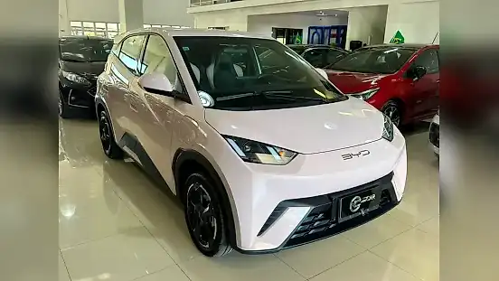 Foto de um byd dolphin