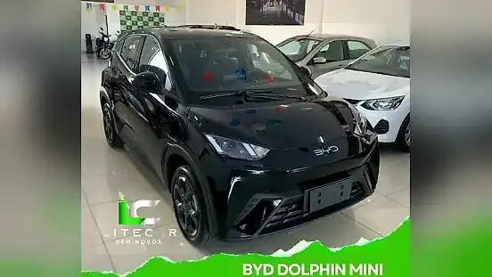 Foto de um byd dolphin mini