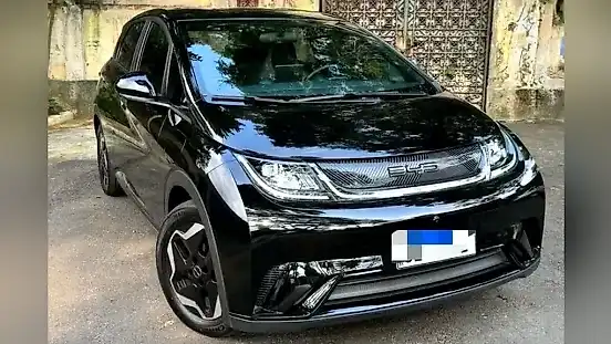 Foto de um byd dolphin