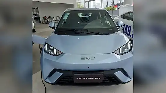 Foto de um byd dolphin