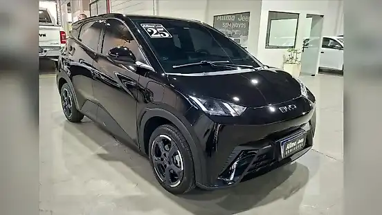 Foto de um byd dolphin mini