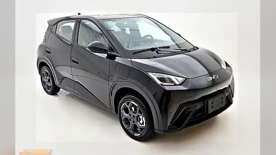 Foto de um byd dolphin mini
