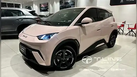 Foto de um byd dolphin mini
