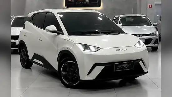 Foto de um byd dolphin mini