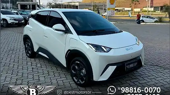 Foto de um byd dolphin mini